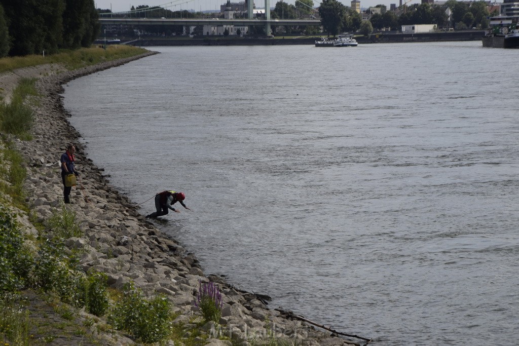 Uebung BF Taucher und Presse Koeln Zoobruecke Rhein P160.JPG - Miklos Laubert